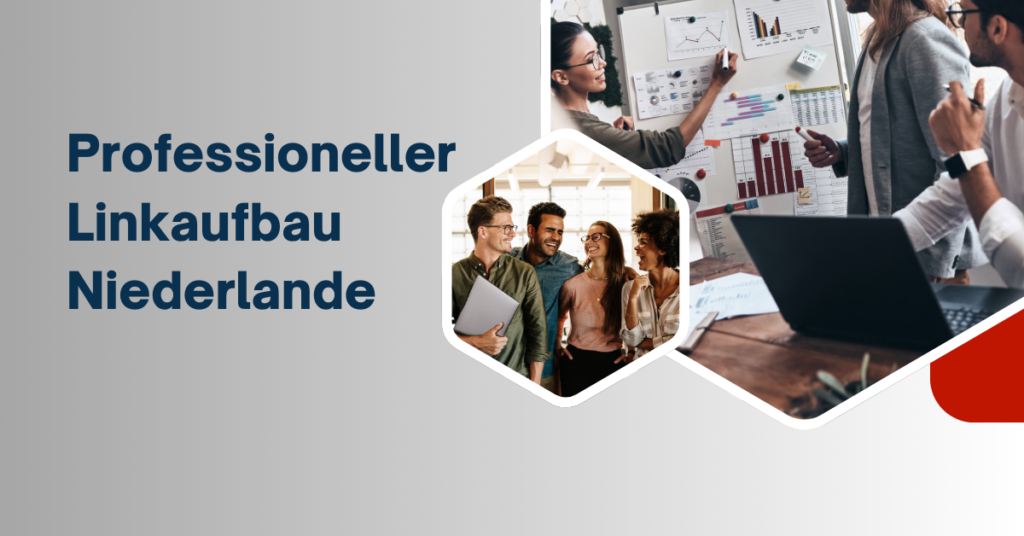 Professioneller Linkaufbau Niederlande