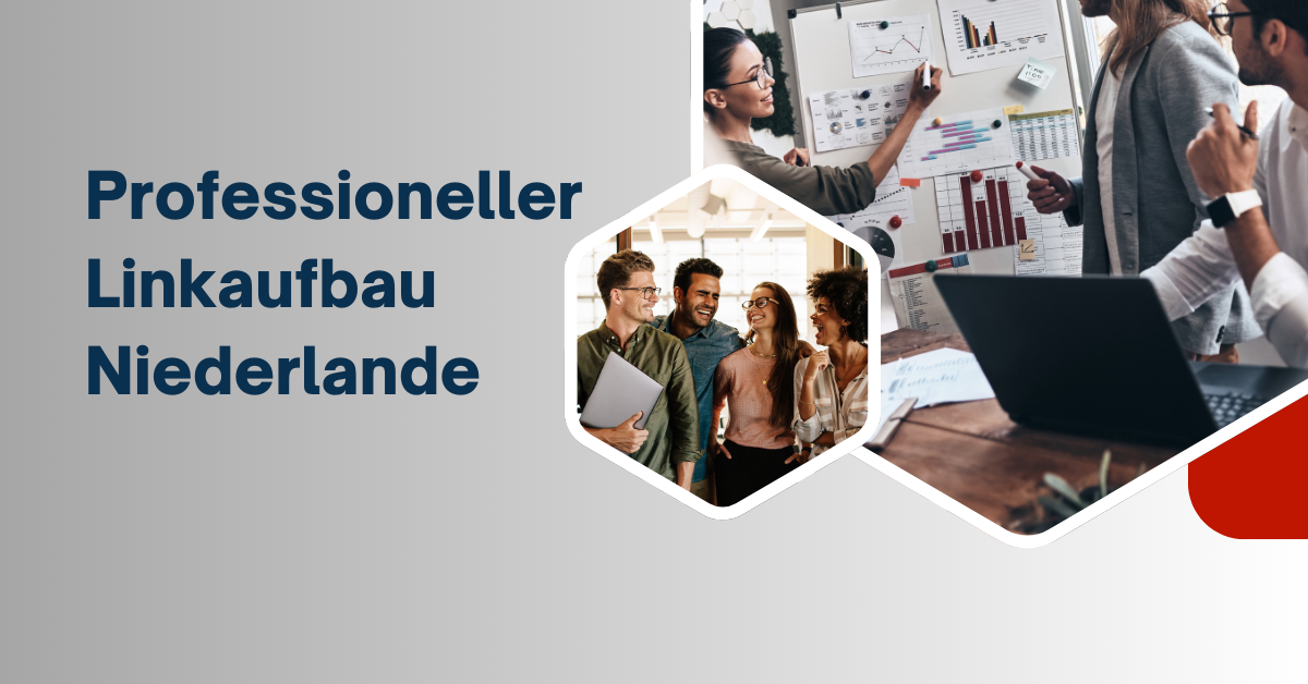 Professioneller Linkaufbau Niederlande